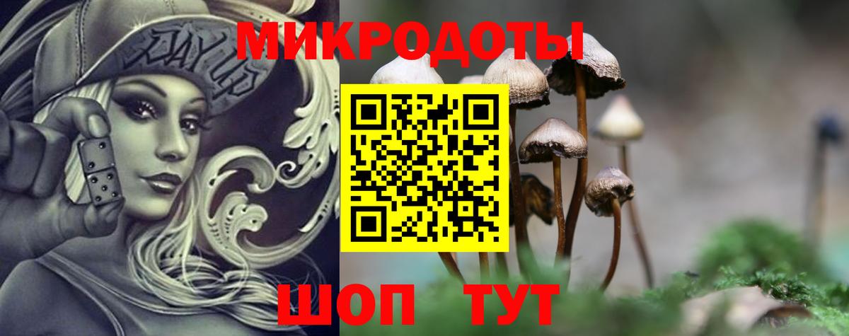 Псилоцибиновые грибы Psilocybe Первоуральск